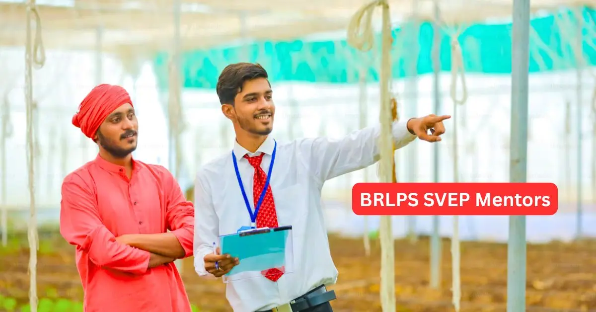 BRLPS Vacancy 2025: SVEP मेंटर्स के पदों पर निकली भर्ती, 12वीं पास को मिल रहा हैं मौका 